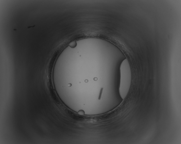 X0000100890687200806241009