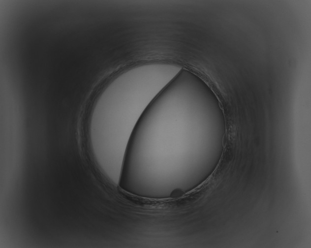 X0000100890688200806241009