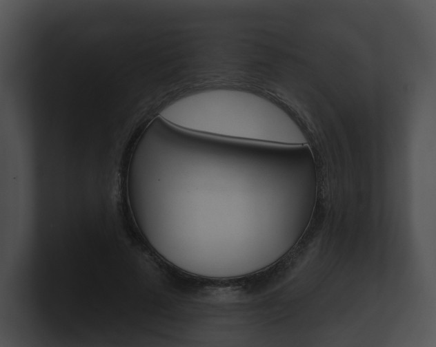 X0000100890689200806241009