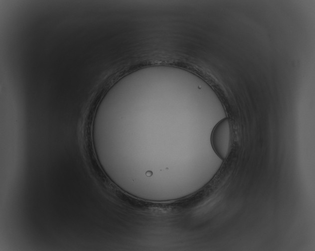 X0000100890690200806241009