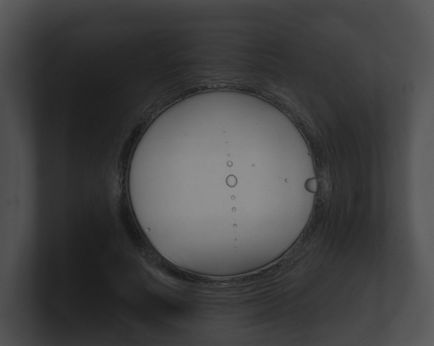X0000100890691200806241009