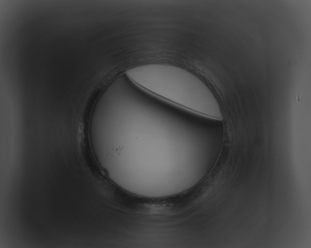 X0000100890693200806241009