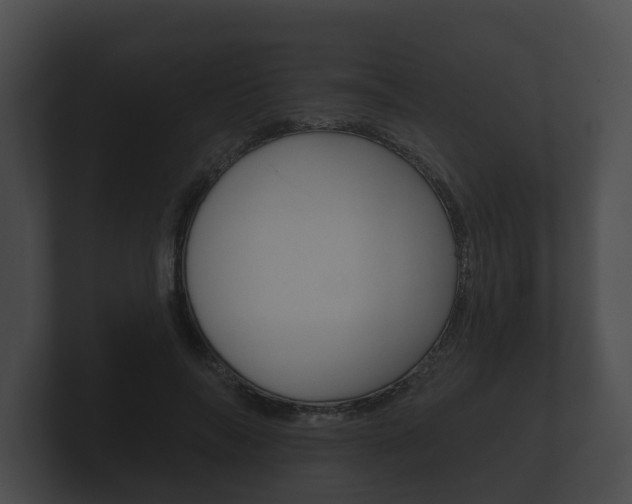 X0000100890694200806241009