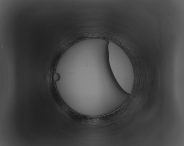 X0000100890695200806241009