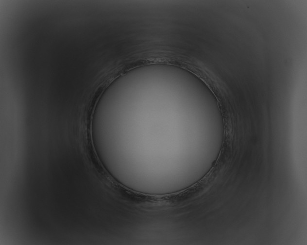 X0000100890696200806241009