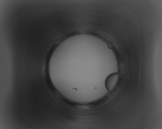 X0000100890698200806241009