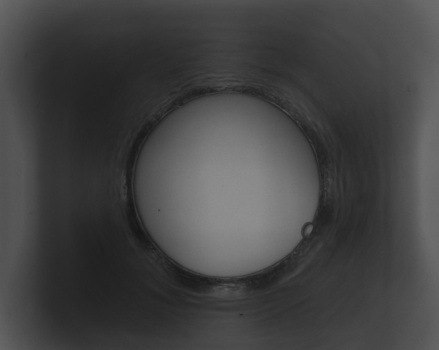 X0000100890700200806241009