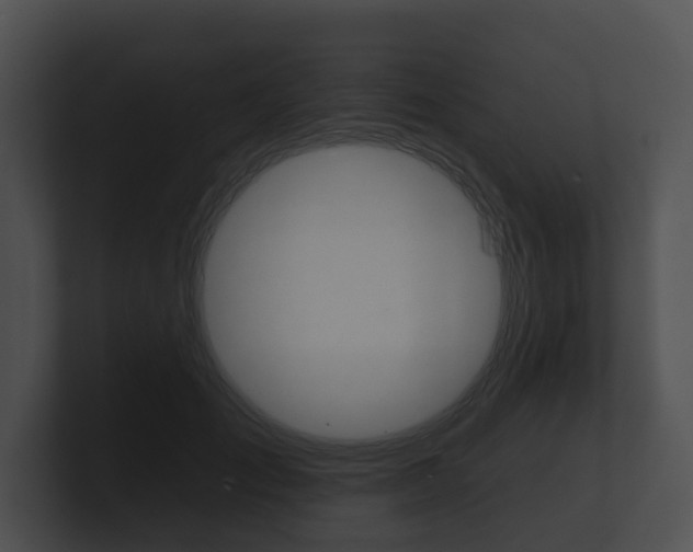 X0000100890701200806241009