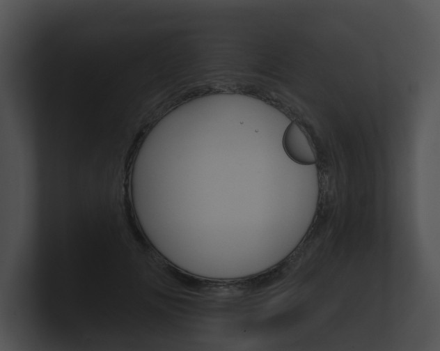 X0000100890702200806241009