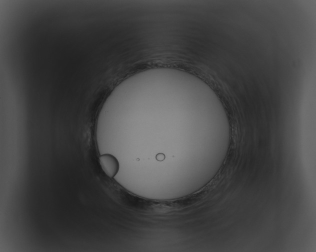 X0000100890703200806241009