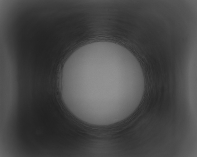 X0000100890705200806241009