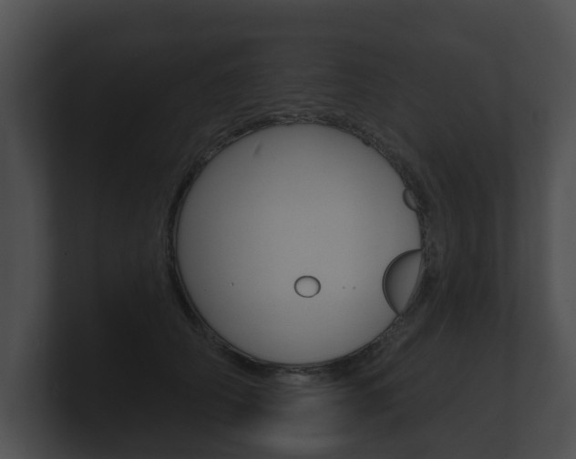 X0000100890706200806241009