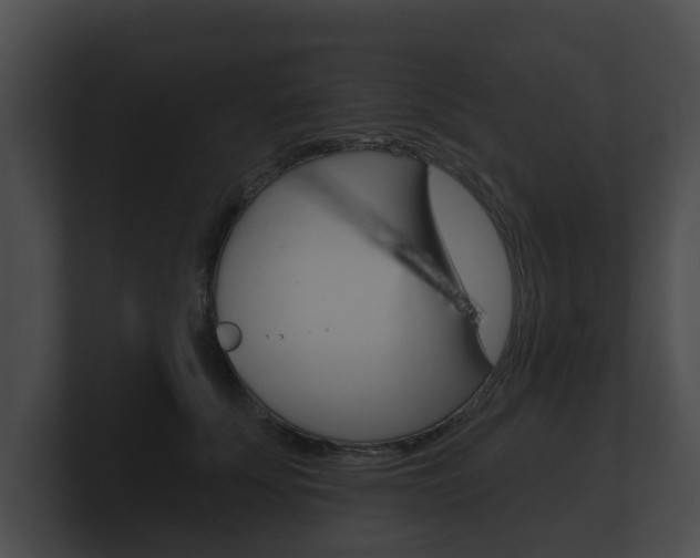 X0000100890707200806241009