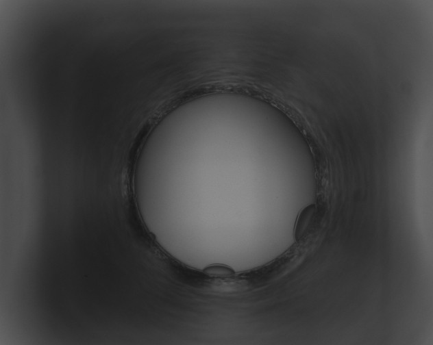 X0000100890708200806241009