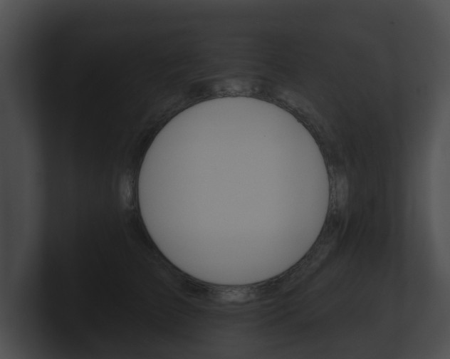 X0000100890709200806241009