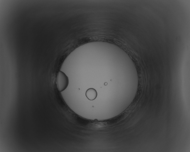 X0000100890711200806241009