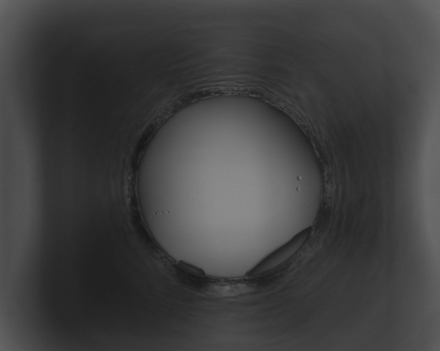 X0000100890712200806241009