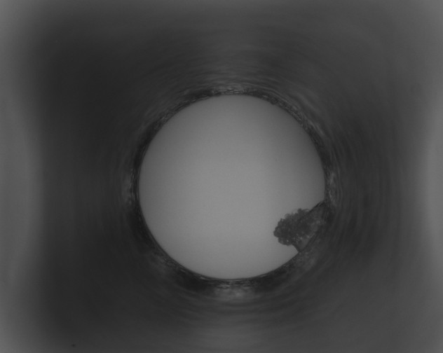 X0000100890714200806241009