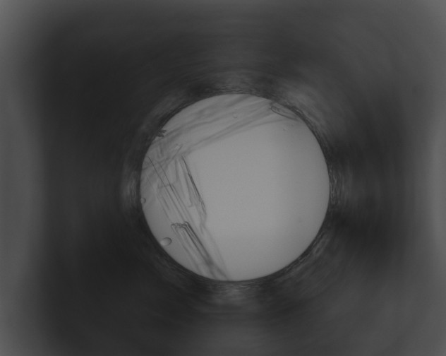 X0000100890717200806241009
