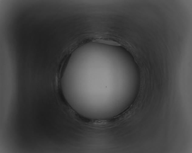 X0000100890720200806241009