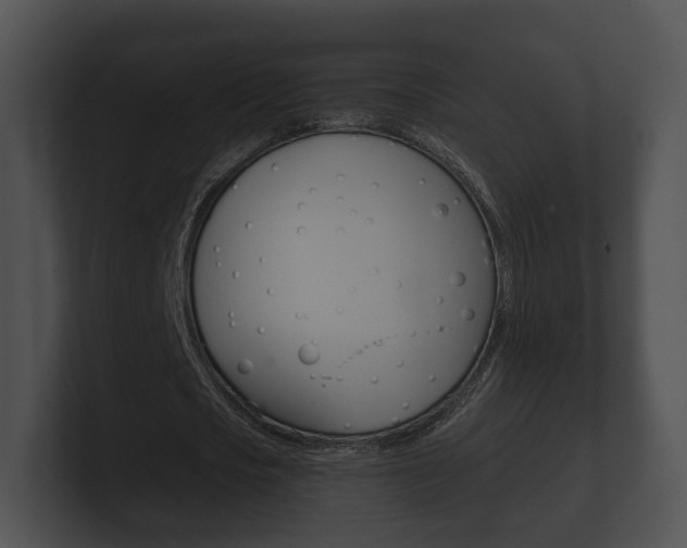 X0000100890721200806241008