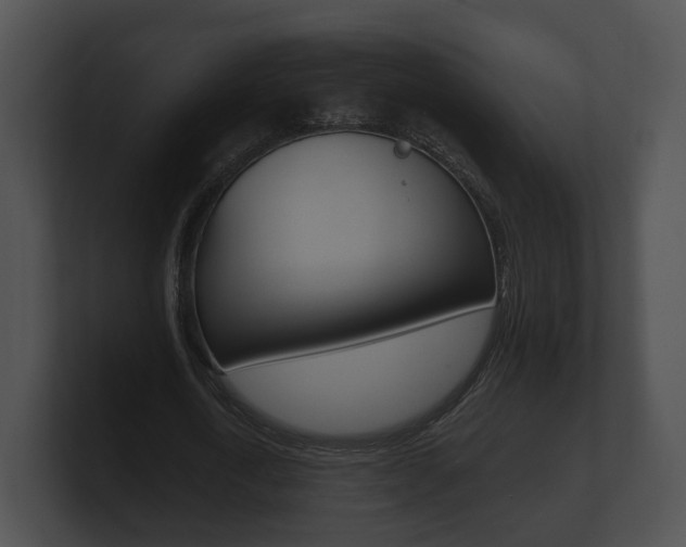 X0000100890722200806241008