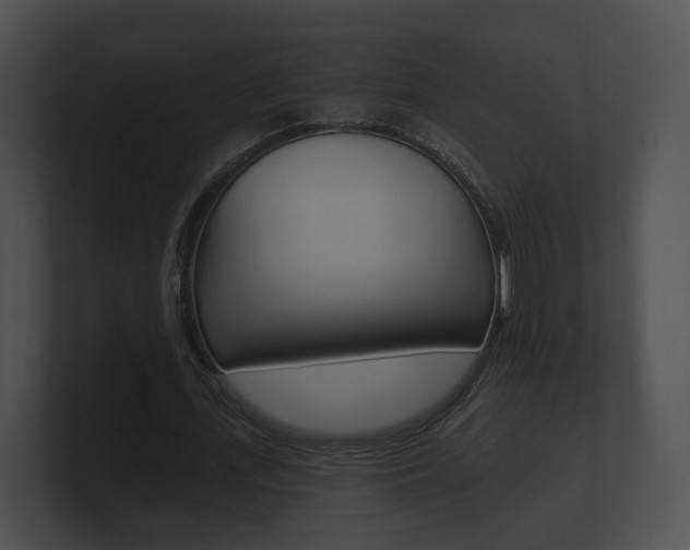X0000100890723200806241008