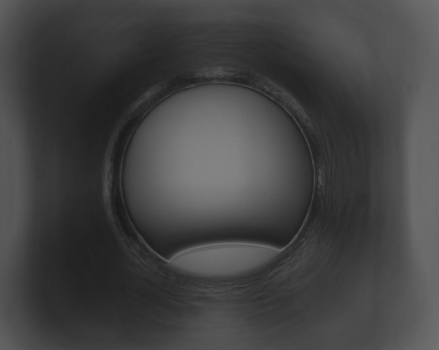 X0000100890724200806241008