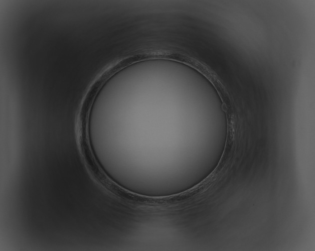 X0000100890726200806241008