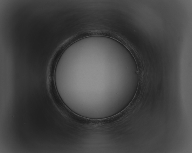 X0000100890728200806241008