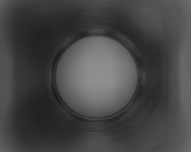 X0000100890729200806241008