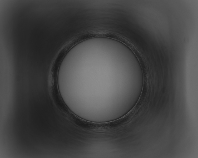 X0000100890731200806241008