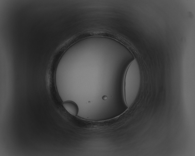 X0000100890732200806241008
