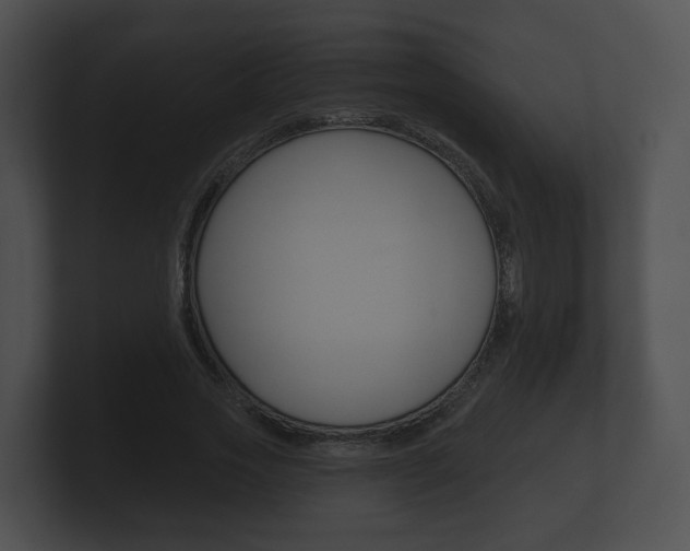 X0000100890733200806241008