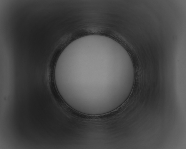 X0000100890738200806241008