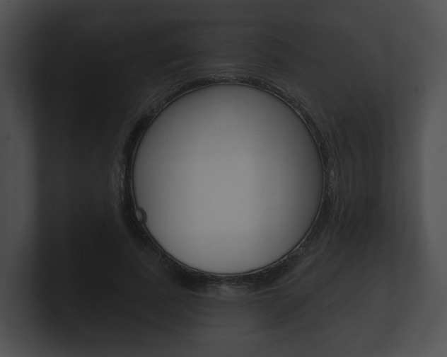 X0000100890739200806241008