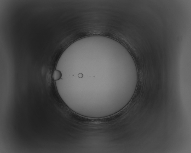 X0000100890741200806241008