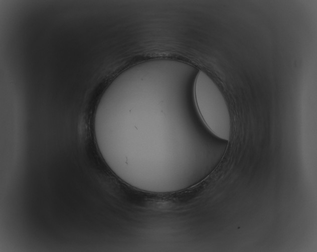X0000100890743200806241008
