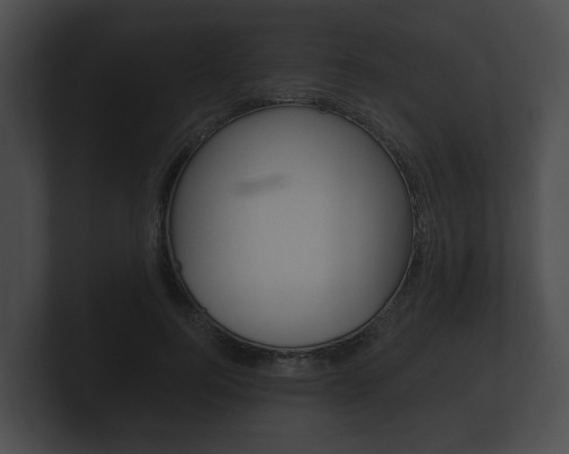 X0000100890744200806241008
