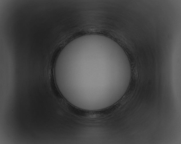 X0000100890746200806241008
