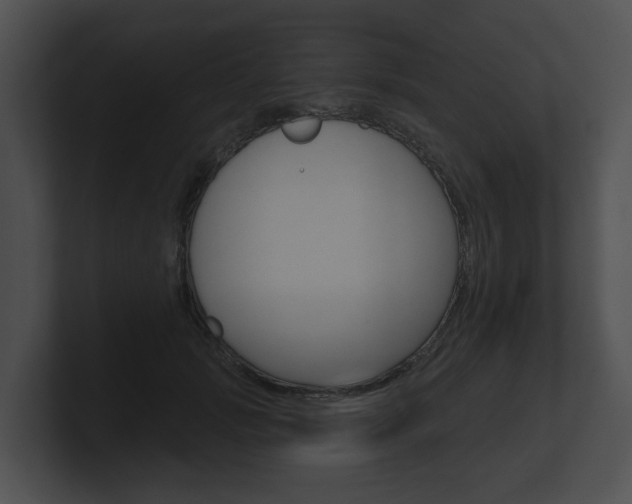 X0000100890749200806241008