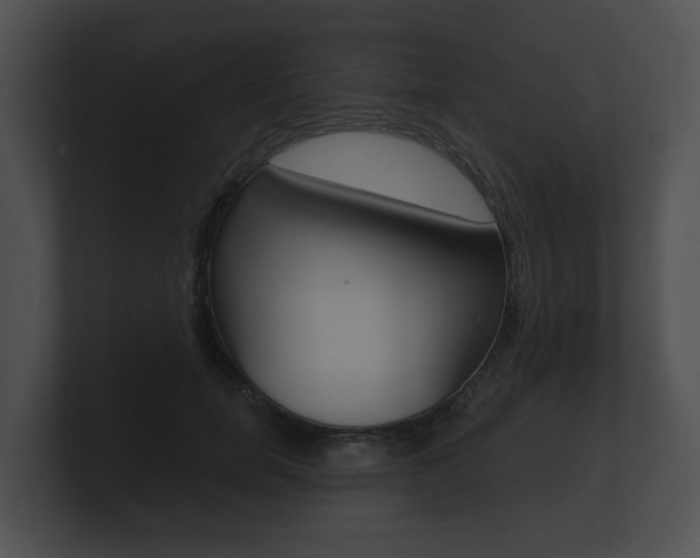 X0000100890750200806241008