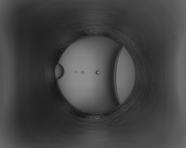 X0000100890751200806241008