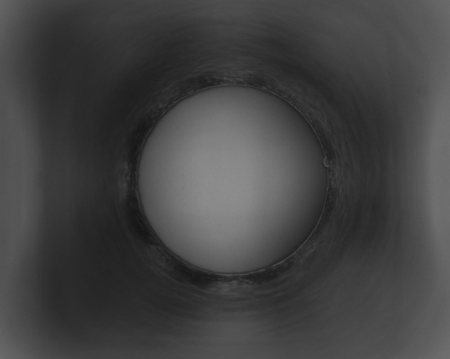 X0000100890752200806241008