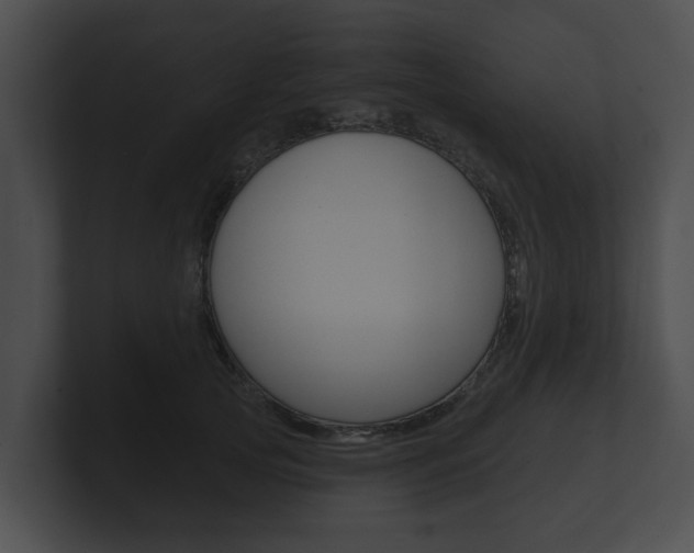 X0000100890753200806241008