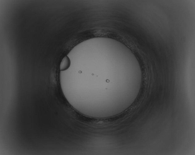 X0000100890755200806241008