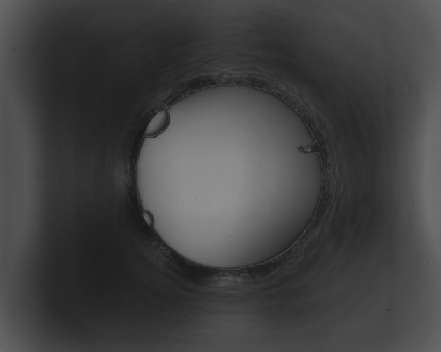 X0000100890756200806241008