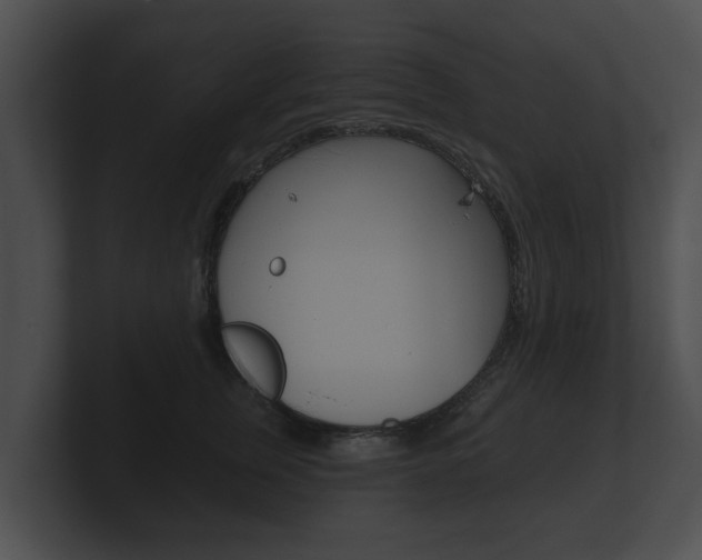 X0000100890759200806241009
