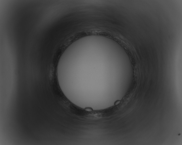 X0000100890760200806241009