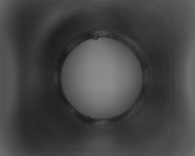 X0000100890761200806241009